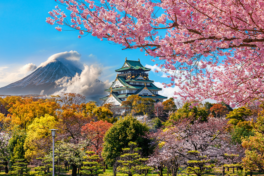 Doğan Güneş Ülkesi Japonya Turu Kurban Bayramı Özel THY ile Ekstra Turlar Dahil Vizesiz / 7 Gece Otel Konaklamalı / İstanbul Çıkışlı Doğan Güneş Ülkesi Japonya Turu Kurban Bayramı Özel THY ile Ekstra Turlar Dahil Vizesiz / 7 Gece Otel Konaklamalı / İstanbul Çıkışlı